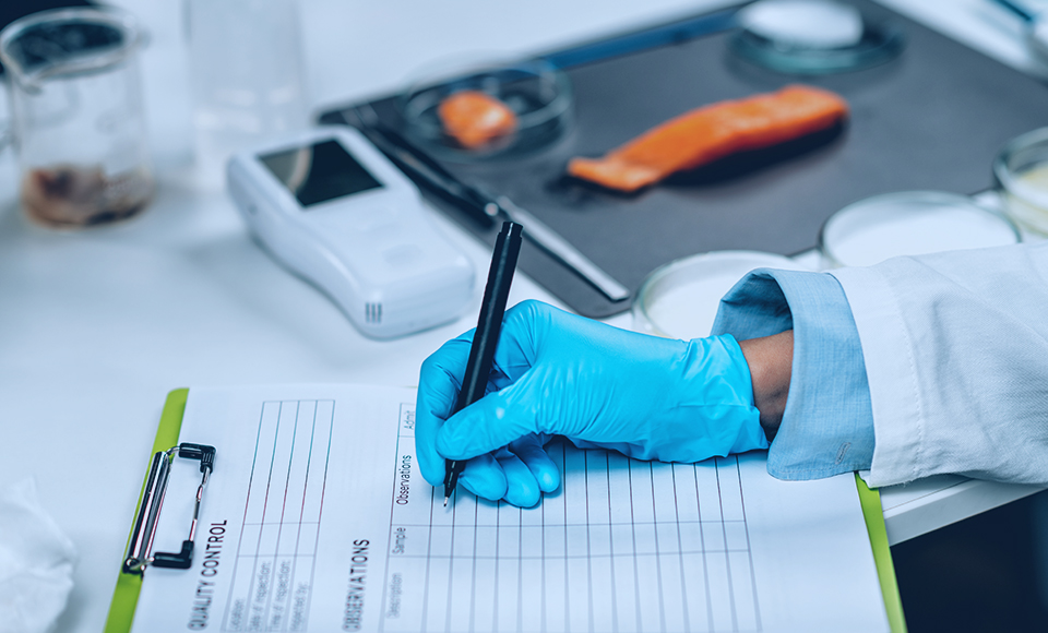 BETVLCTOR伟德官网下载