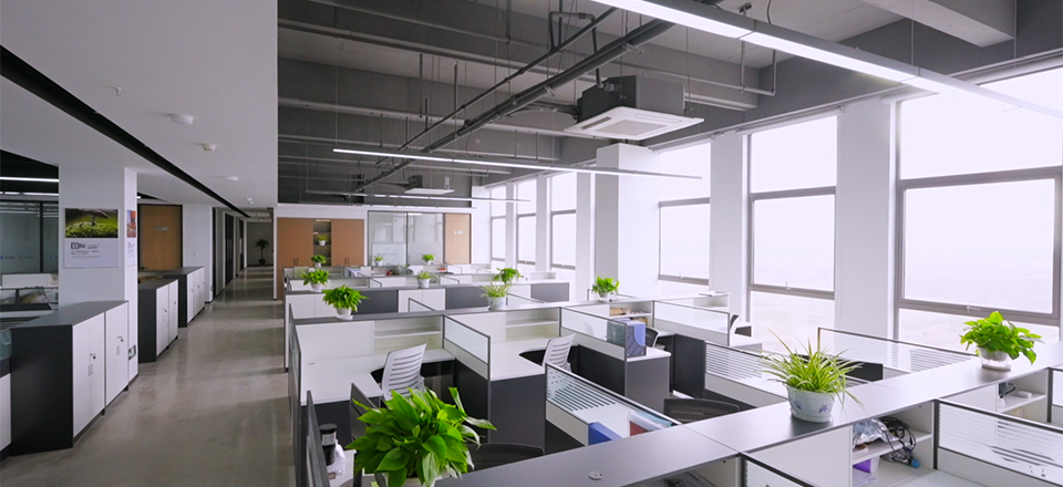 BETVLCTOR伟德官网下载